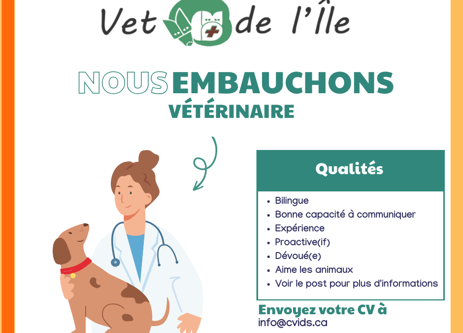 Vétérinaire – Nous recrutons !