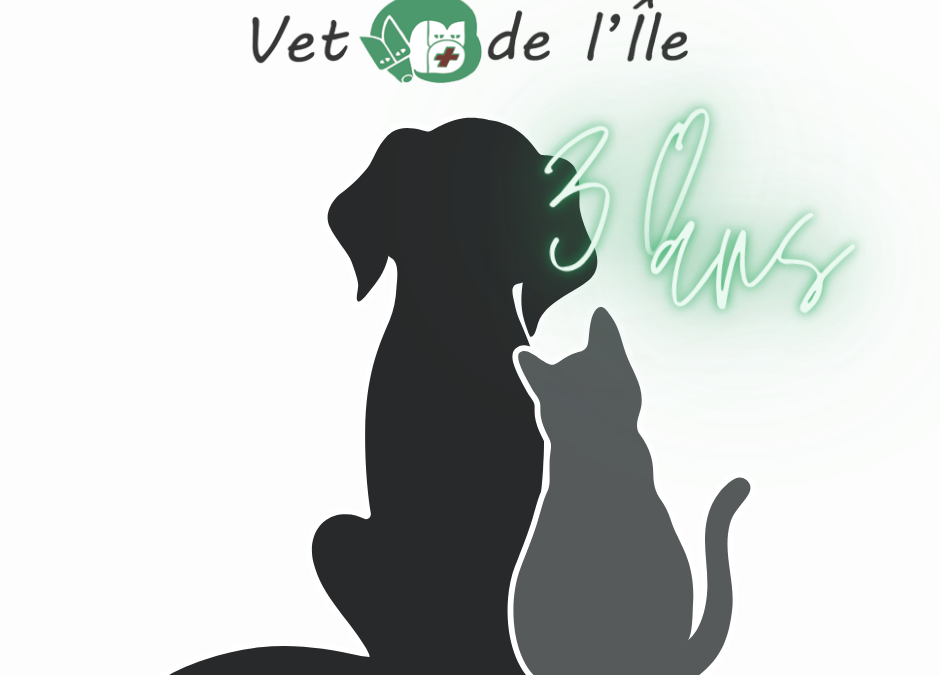 Que signifie “clinique vétérinaire indépendante” ? | What is an independent veterinary clinic?