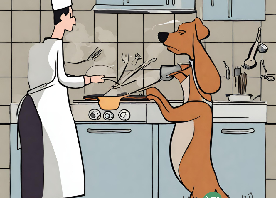 Problèmes liés au passage à la cuisine maison pour votre animal de compagnie | Issues When Switching to Home cooking for your pet