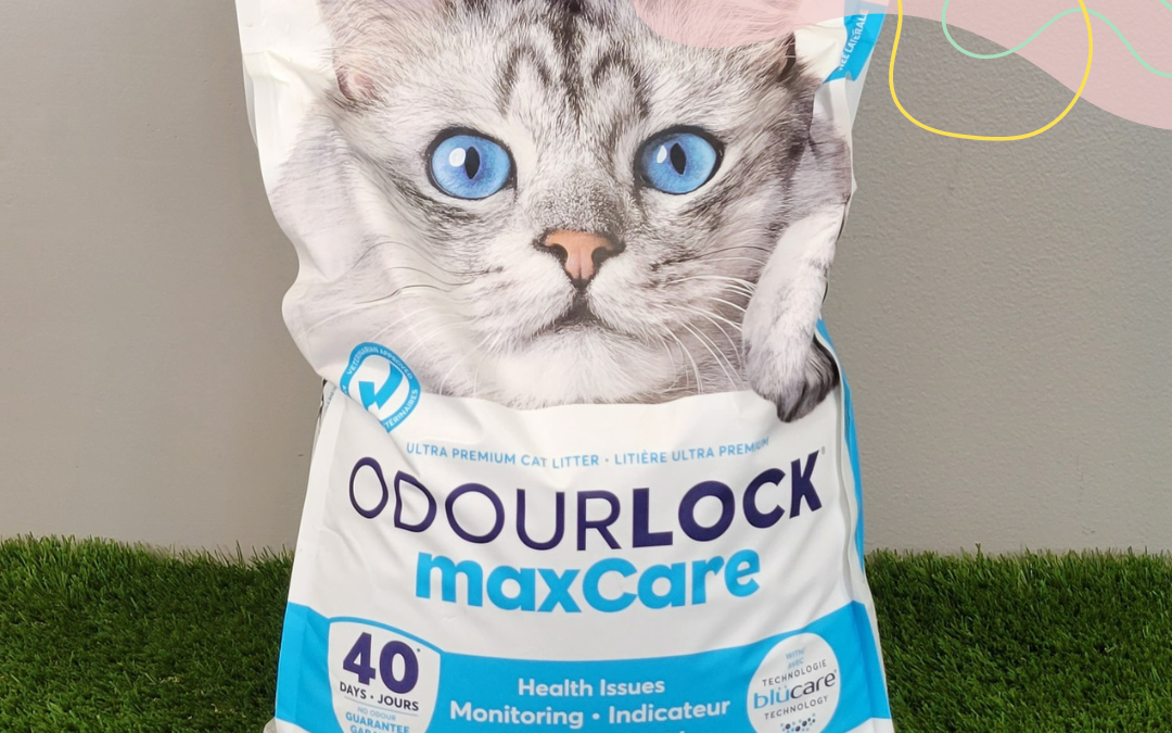 Comment OdourLock MaxCare détecte-t-il le sang et le glucose ? | OdourLock MaxCare Clumping Litter: Innovative Blood and Glucose Detection