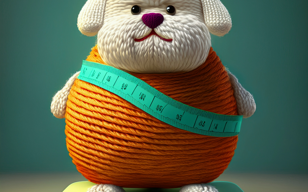 Aider votre chien à perdre du poids – Une approche guidée par un vétérinaire | Helping Your Dog Lose Weight – A Vet-Guided Approach